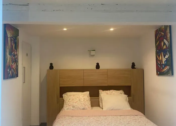 Daire Superbe Sejour Chez Renaud Obenheim