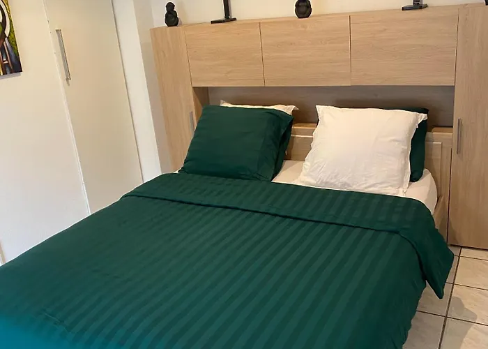 Daire Superbe Sejour Chez Renaud *