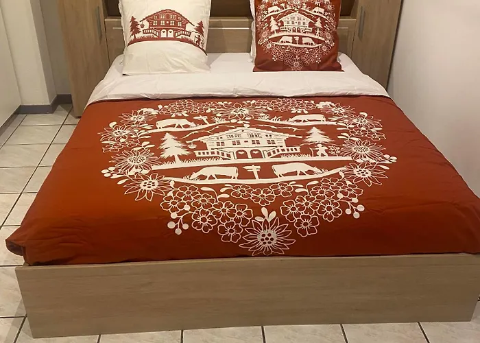 Daire Superbe Sejour Chez Renaud Obenheim